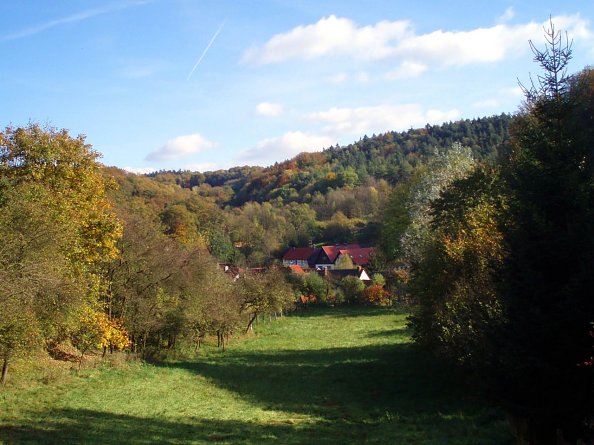 Blick in die Rüdigsdorfer Schweiz (Foto: Quelle: wikipedia.de) Blick in die Rüdigsdorfer Schweiz (Foto: Quelle: wikipedia.de)