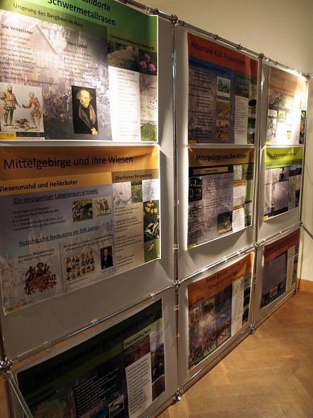 Ausstellung des KK Südharz in Wittenberg (Foto: R. Englert)