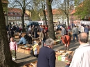 B&uuml;chermarktget&uuml;mmel (Tuschy)