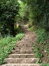 der Weg (Frauenberg)