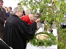 Erwachsenentaufe (Foto: R. Englert)