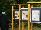 Gerda Leidel studiert die neuen Lerntafeln (Foto: R. Englert)