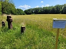 Glockensteine (Foto: Blasii)