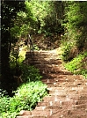 Treppe (Foto: Frauenber)