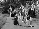 Fotos Handwerkercamp 2015  (Foto: Rüdiger Neitzke)