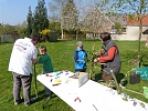 Palmstecken (Foto: D.Schröter)