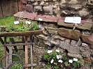 Herrn Käthes Kräutergarten (Foto: R. Englert)