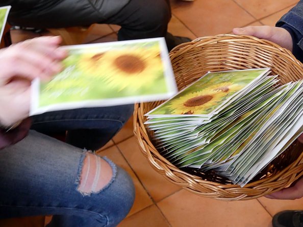 Hoffnungsäen in Niedergebra - eine jede bei sich Zuhause (Foto: R. Englert)