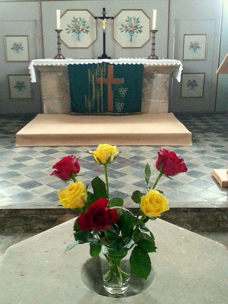Rosenüberraschung in der Rosenkirche (Foto: R. Englert)